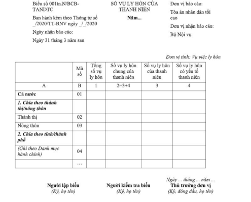 MẪU BÁO CÁO SỐ VỤ LY HÔN CỦA THANH NIÊN (ÁP DỤNG TRONG BÁO CÁO THỐNG KÊ VỀ THANH NIÊN VIỆT NAM)
