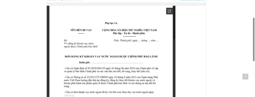 MẪU ĐƠN ĐĂNG KÝ KHOẢN VAY NƯỚC NGOÀI ĐƯỢC CHÍNH PHỦ BẢO LÃNH