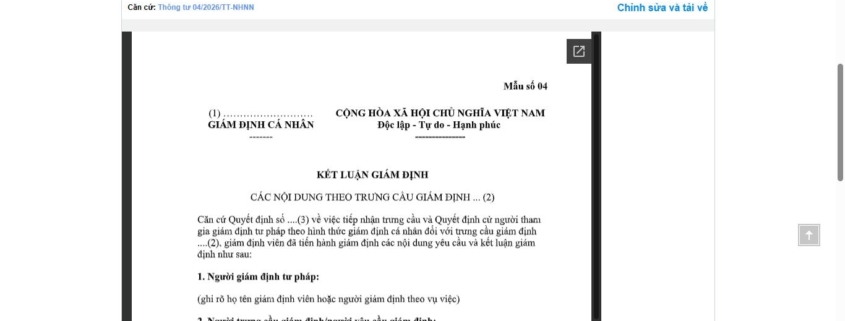 MẪU SAO KÊ KHOẢN VAY VỀ HOẠT ĐỘNG BẢO HIỂM TIỀN GỬI