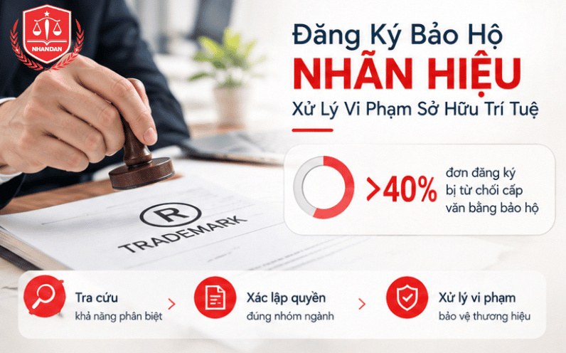 Dịch Vụ Luật Sư Tư Vấn Pháp Lý Cho Cá Nhân Và Doanh Nghiệp 7 Quy trình xử lý vi phạm sở hữu trí tuệ