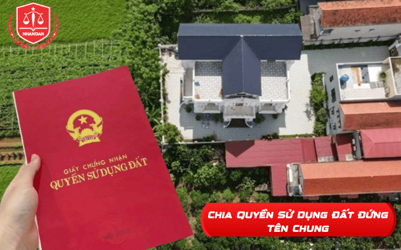 Phân chia quyền sử dụng hai vợ chồng đất đứng tên chung.