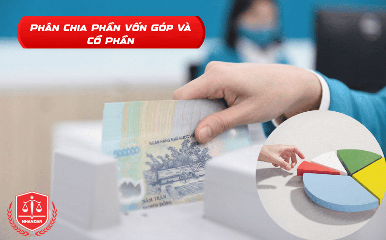 Phân chia phần vốn góp và cổ phần