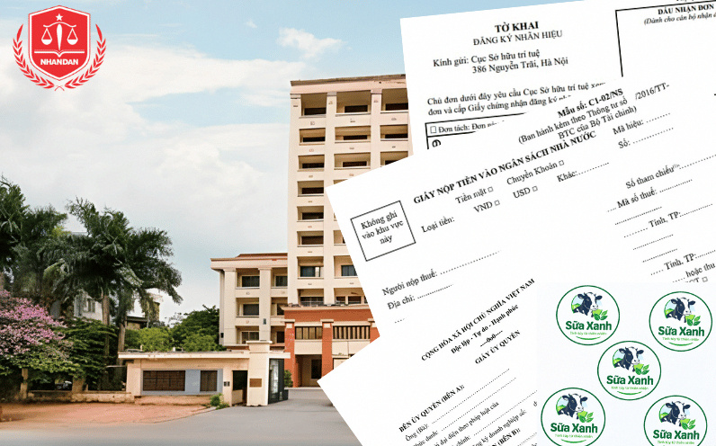 Bộ hồ sơ đăng ký nhãn hiệu đầy đủ tờ khai, mẫu logo và danh mục phân nhóm hàng hóa theo chuẩn quốc tế. (Ảnh mang tính chất minh họa)