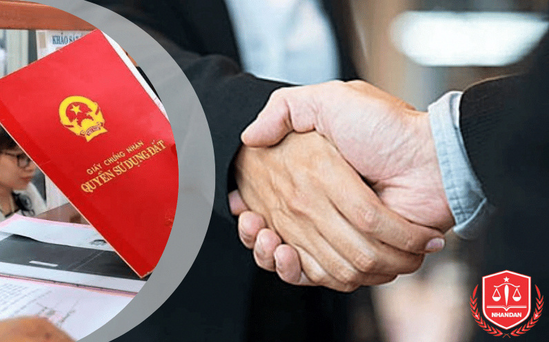 Dịch Vụ Làm Sổ Đỏ Trọn Gói Tại Hà Nội Nhanh Chóng Đúng Luật 2 Đội ngũ luật sư trực tiếp tư vấn và đánh giá tính pháp lý cho hồ sơ nhà đất của khách hàng.